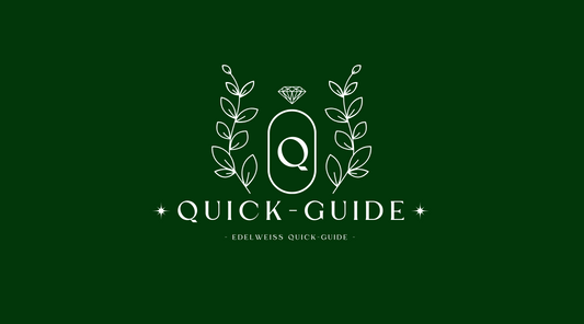 Quick Guide: Übersicht