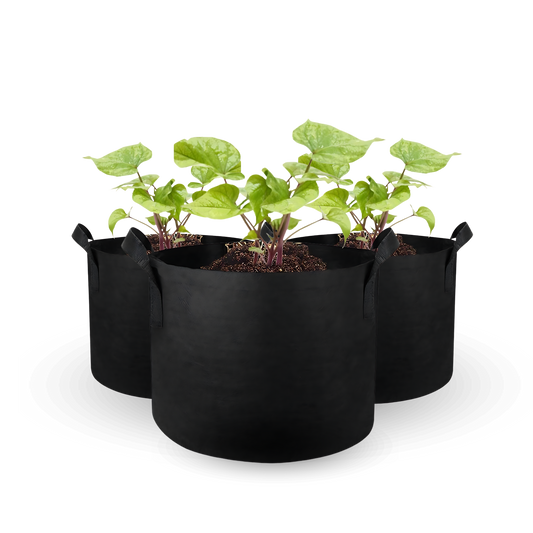 AMKOY | Stoff-Pflanzenbeutel: Robuste und atmungsaktive Grow Bags [4-18 Liter]