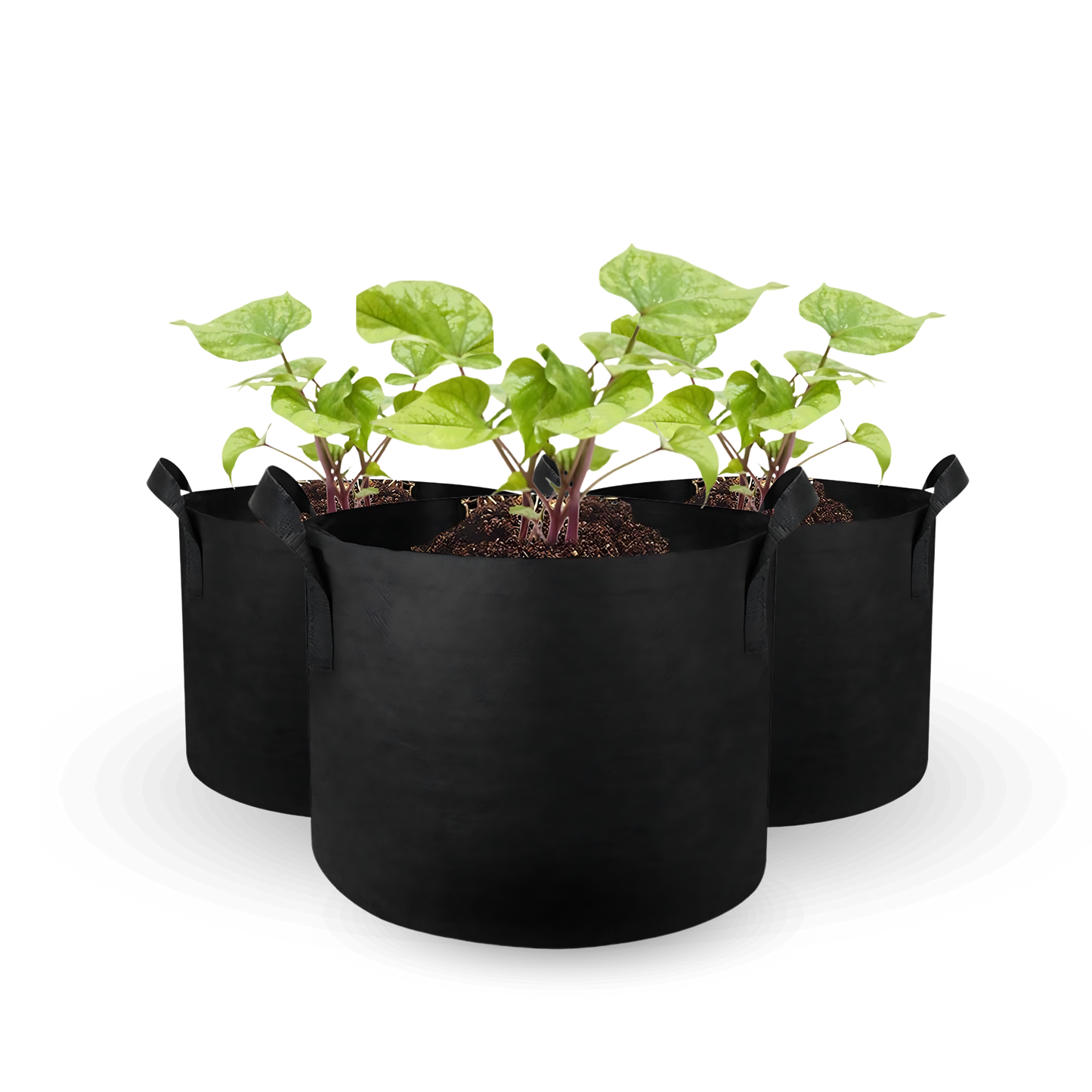 AMKOY | Stoff-Pflanzenbeutel: Robuste und atmungsaktive Grow Bags [4-18 Liter]